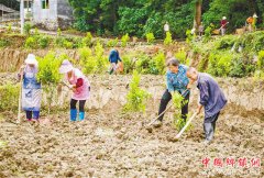 农旅融合勾画脱贫攻坚路线图