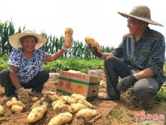 <b>郯城：生态“农家肥”逼出“大地蛋”</b>