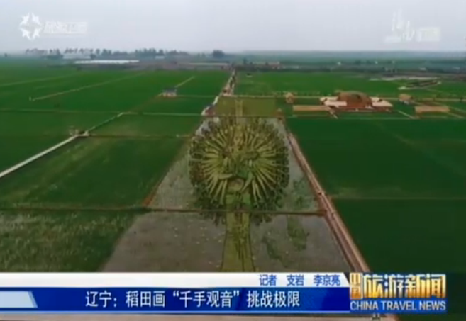 辽宁：稻田画“千手观音”挑战极限
