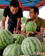 <b>失去“双肾”的贫困户张茂斌——笑对人生</b>