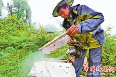 <b>云南迪庆：与滇金丝猴为邻的养蜂人</b>