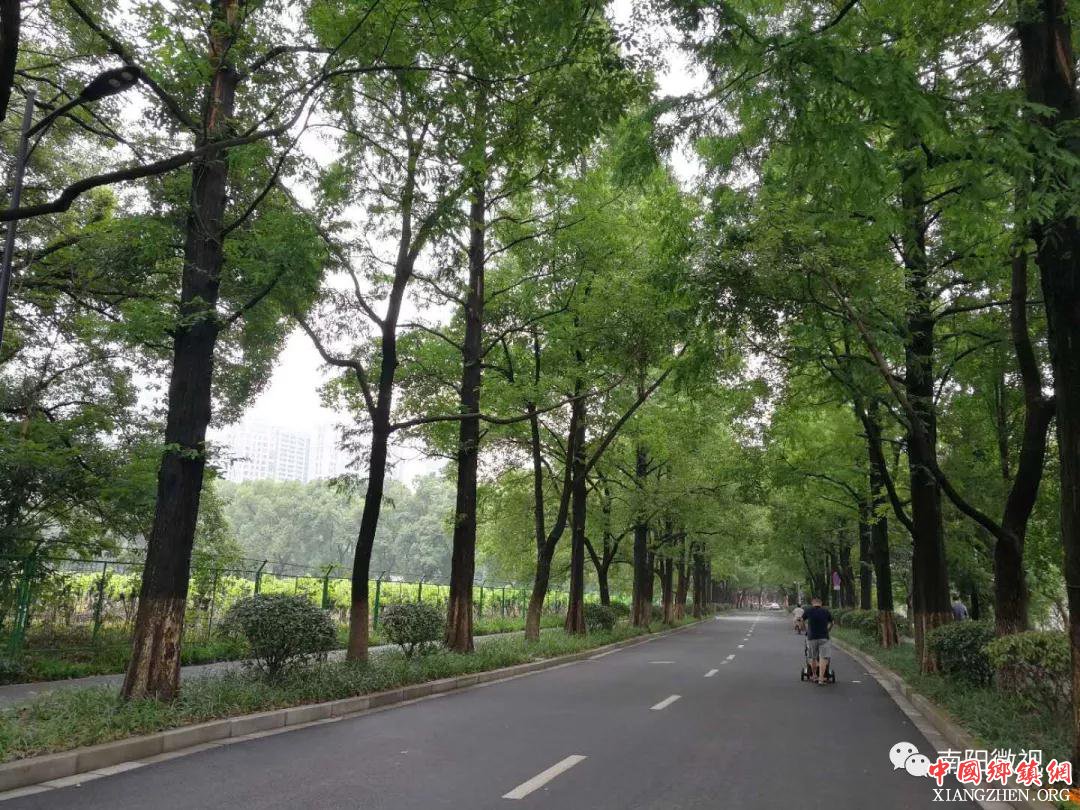 南阳新时代宣传思想文化系统干部培训班在浙大开班