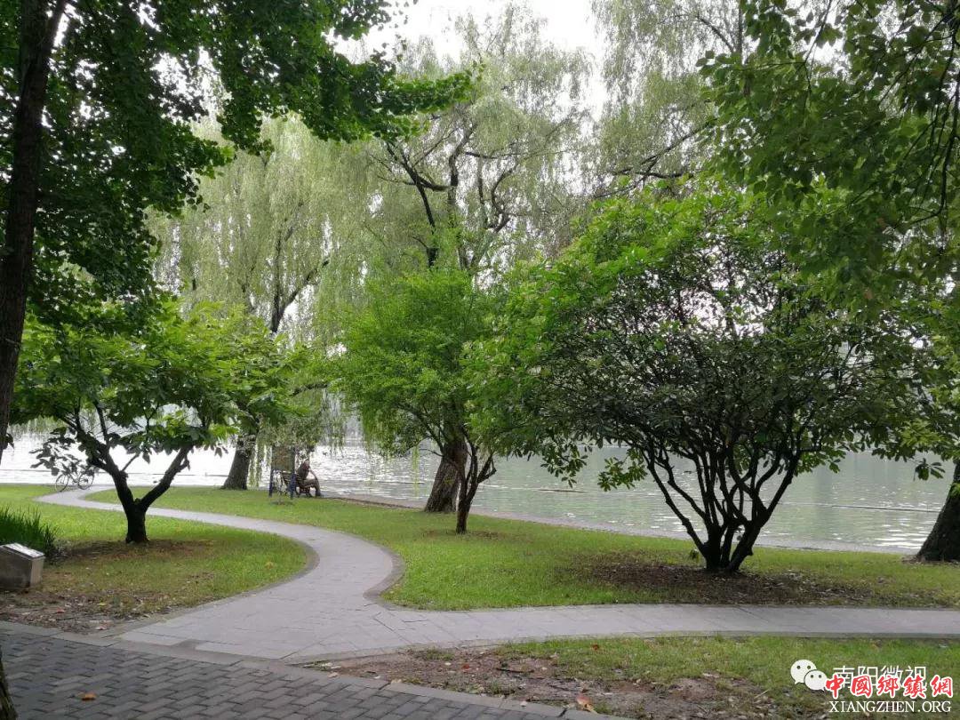 南阳新时代宣传思想文化系统干部培训班在浙大开班