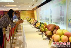 <b>百色芒果进京推介</b>