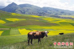 <b>这些地方，七月最美</b>