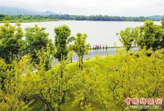 <b>水清岸绿双桂湖</b>