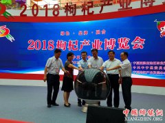 <b>2018枸杞产业博览会在宁夏中宁启幕</b>