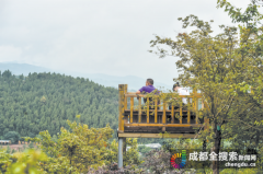 <b>登山健身+森林康养 全省首条登山健身步道初显形</b>