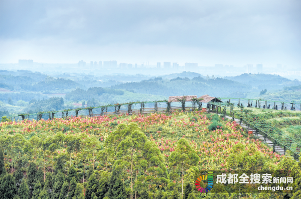 金堂国家登山健身步道位于成都平原东北角龙泉山脉深丘地区,步道各项基础设施建设已粗具规模