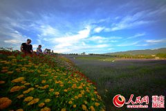 <b>梁平：花开田园醉游人</b>