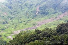 <b>云南元阳老虎嘴梯田片区发生山体滑坡 170余亩梯田被毁</b>