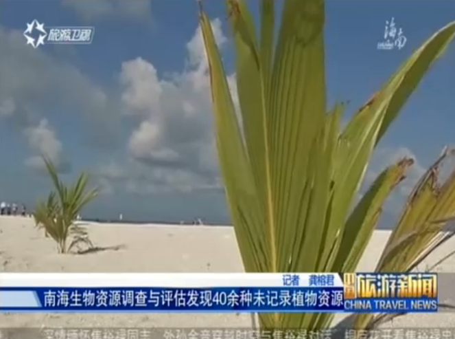 南海新发现40余种未记录植物资源