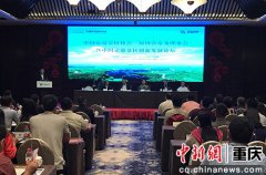 <b>中国旅游景区创新发展论坛在武隆举行</b>