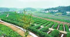 <b>越过龙泉山 成都脱贫攻坚一个都不少</b>