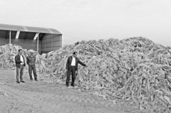 <b>专家谈我国农用地膜污染：莫让地膜变“地魔”</b>