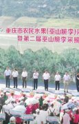 <b>重庆农民水果采收运动会在巫山曲尺隆重举办</b>