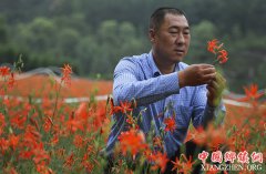 <b>郝和武的山丹丹之恋</b>