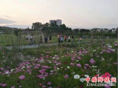 <b>四川彭州：军屯锅魁广场扮靓美丽乡村</b>