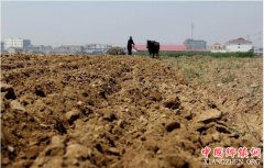 <b>轮作休耕 每亩还能领1300元 想要申请的农民要抓紧时间了</b>