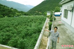 <b>重庆巫山曲尺等乡镇建成污水处理厂保护三峡水质</b>