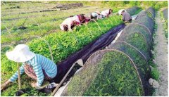 <b>贵州实行“校农结合”助推产业扶贫</b>