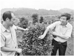 <b>“独斗”变“团斗” 湖南造血式扶贫有大格局</b>