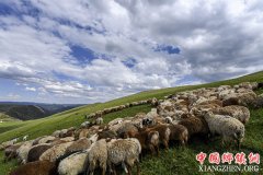 <b>情醉大美新疆</b>