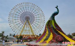 <b>云南最大摩天轮＂滇池之眼＂亮相 以孔雀开屏为造型设计</b>
