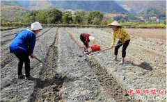 <b>农民种地外出打工为什么还是穷？这几点说到了农民的心坎上</b>