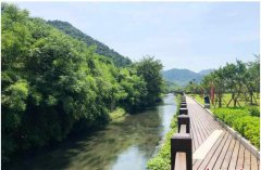 <b>浙江绍兴棠棣村“以花创富” 农村路撬动美丽产业</b>