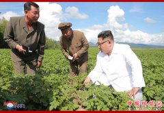 <b>朝鲜最高领导人金正恩视察三池渊郡</b>