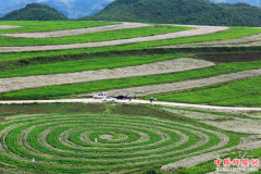 <b>贵州威宁：荞花烂漫引客来</b>