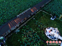 <b>美丽山村举办夏季“荷塘月色”音乐会</b>