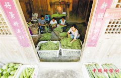 <b>重庆黔江：立体农业助脱贫</b>