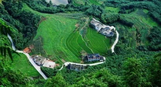 图为蜀南竹海风景 蜀南竹海景区供图 图为蜀南竹海风景 蜀南竹海景区供图