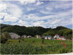 <b>江西井冈山坝上村：小表格反映出的扶贫大成果</b>