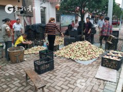 <b>开阳县米坪乡推动全域旅游 开展品桃文化旅游季</b>