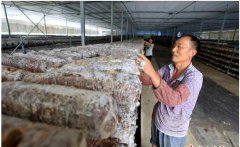 <b>安徽扶贫驿站让贫困户在家门口挣钱</b>