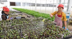 <b>生态产业助脱贫</b>