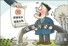 <b>损伤的生态环境有了“救治钱”</b>