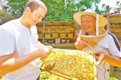 <b>“2018年中观察”系列报道之三：脱贫攻坚精准发力</b>