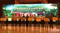 <b>农村淘宝亩产一千美金计划落地福建</b>