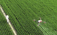 <b>“智慧农业”促乡村振兴</b>