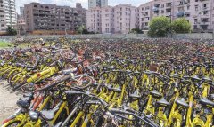 <b>无主单车，处置也应合乎法律</b>