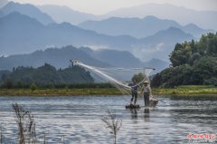<b>千岛湖开渔展现“水清鱼欢”美丽生态</b>