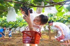 <b>江西樟树：农业旅游热起来</b>
