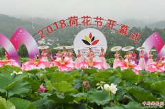 <b>云南姚安：千年古镇清风荷韵</b>
