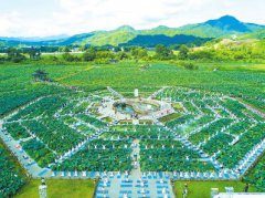 <b>“赏花经济+文体活动” 三明建宁打造旅游发展新模式</b>