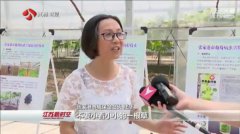 <b>江苏推广绿色防控技术 农药使用量逐年下降</b>
