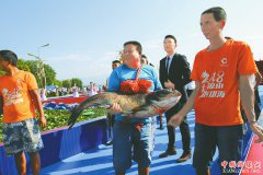 <b>西昌邛海开海节开幕：4万斤邛海鱼 市民游客免费吃</b>